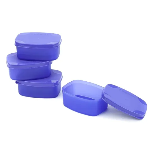 Image of Signoraware Plastic Container Set of 4 (100ml each)