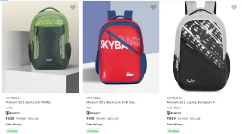 Image of Skybags Brand Backpack @ Up to 80% Discount