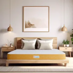 Sleepwell Dual Mattress