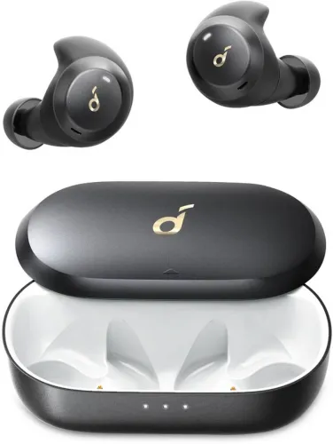 Image of Soundcore by Anker Spirit Dot 2 Bluetooth (Black, Grey, True Wireless)