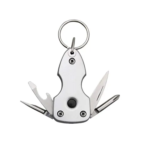 Image of Stealodeal Silver Keychain
