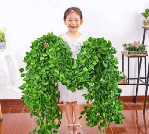 Image of sunever Artificial Money Plant Creeper 170 cm pack of 3