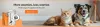 Supertails Coupon : Upto 50% off + Extra 3% off on Pet Food Supplements