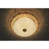 swanart Modern Lighting Chandelier Glass Light
