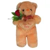 Tickles Plush Brown Standing Teddy