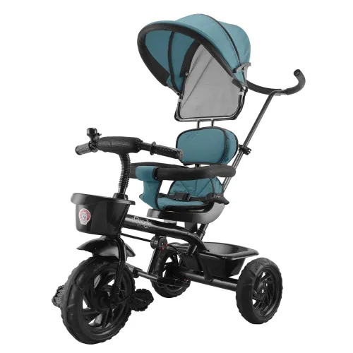 Image of Toyzoy Maple Pro Max Kids Tricycle (2+ Yrs, Green)