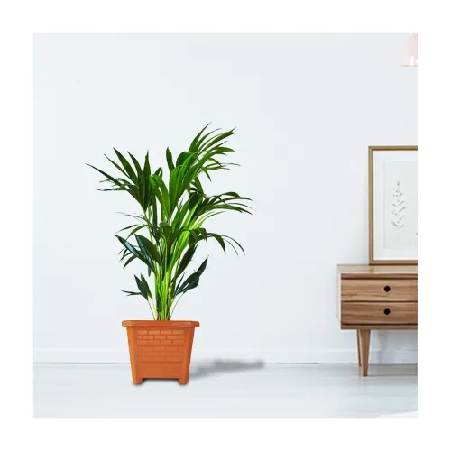 Image of TrustBasket EarthBox-6 Square Plastic Planter Brown Set of 12