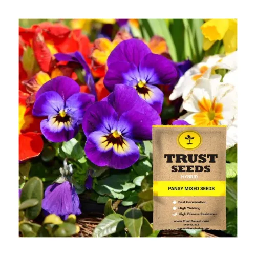Image of TrustBasket Premium Pansy Mixed Flowers Seeds