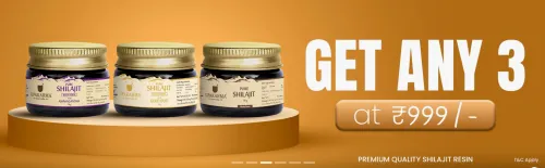 Image of Upakarma Offer: Get Any 3 Shilajit at just ₹999