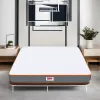 Usha Shriram 8 inch Single (HR) 7-Zone Foam Mattress