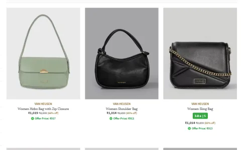Image of Van Huesen Handbags Upto 66% Discount