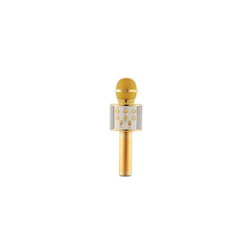 Image of VRJTEC Karaoke Golden Color Mic