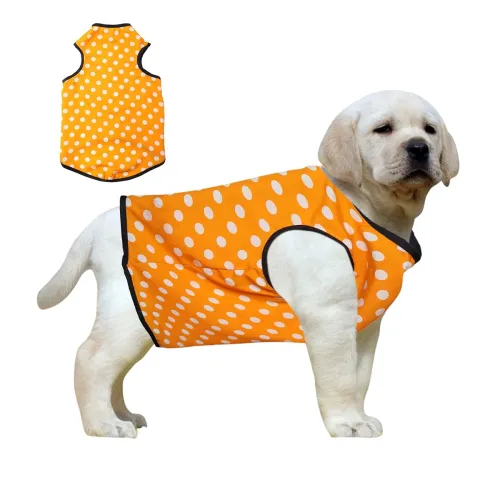 Image of Western Era Funky Soft Cotton Dog T-Shirt