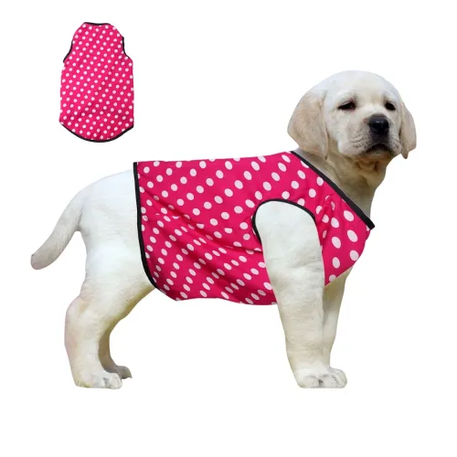 Image of Western Era Soft Cotton Dog T-Shirt