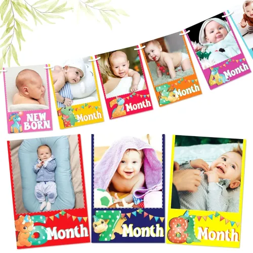 Image of WOBBOX Dino Theme 1-12 Month Photo Banner