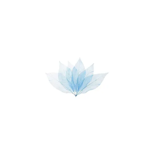 Image of YellowCult Skeleton Leaves (Aquamarine Blue) - Pack of 50