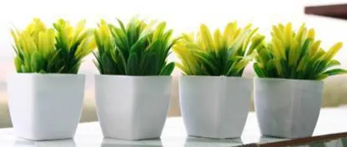 Image of Ytc pack of 4 artificial plant Artificial Plant with Pot