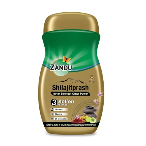 Image of Zandu Shilajitprash Chyawanprash 450g