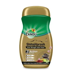 Zandu Shilajitprash Chyawanprash 450g