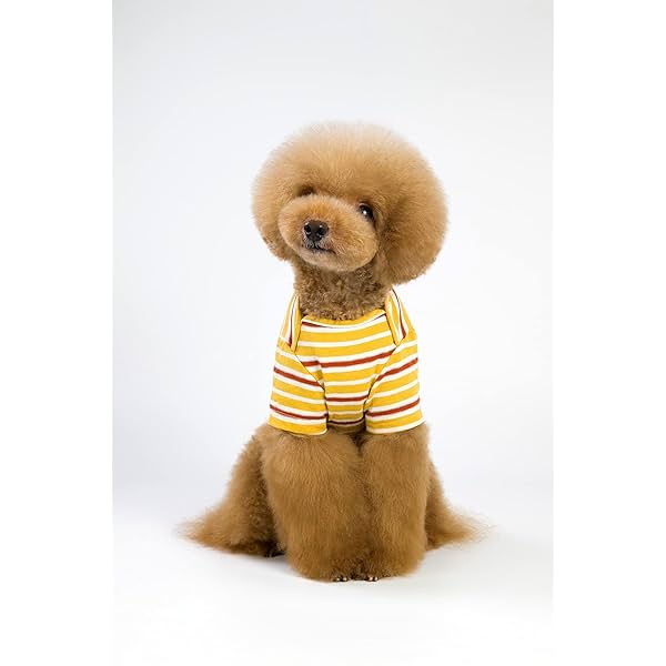 Image of A+a Pets' Soft Cotton T-Shirts for Dogs, Puppies & Cats