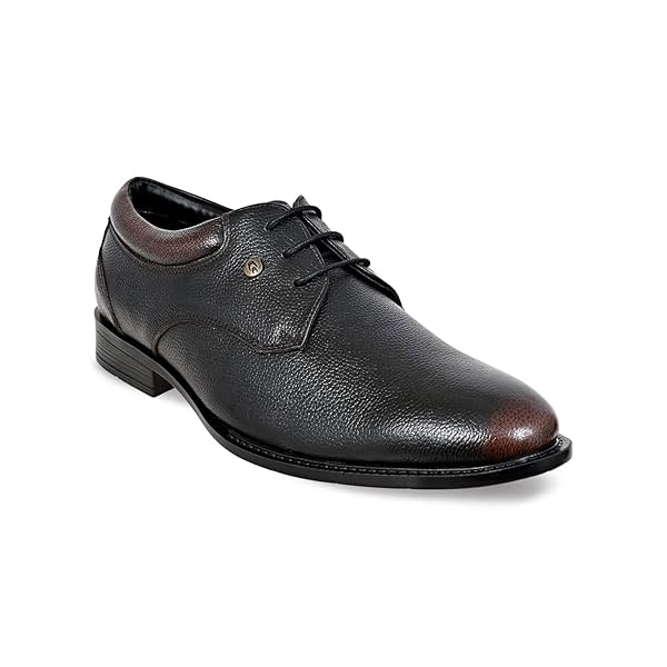 Image of Allen Cooper Genuine Premium Leather Luxury Business Formals Shoes