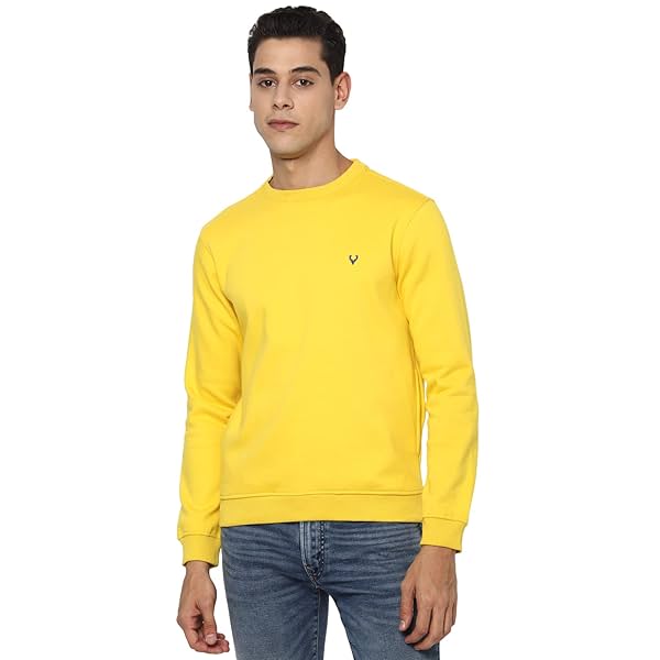 Image of Allen Solly Men's Casual Crew Neck Sweatshirt