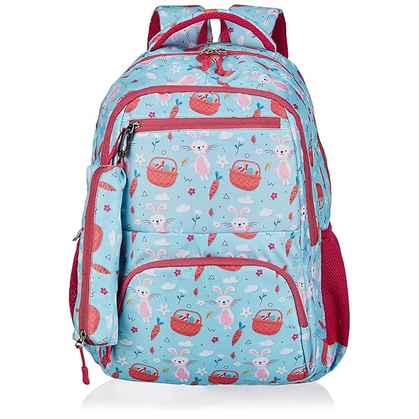 Image of Amazon Basics 26 L School Backpack