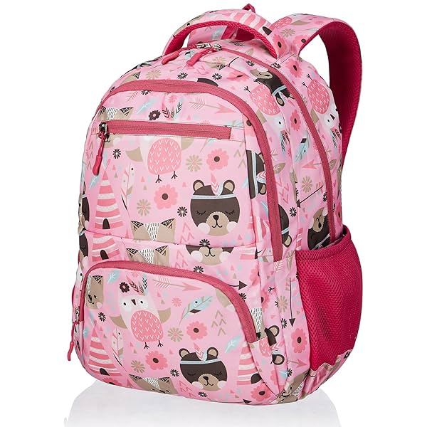 Image of Amazon Basics 26 L School Backpack 