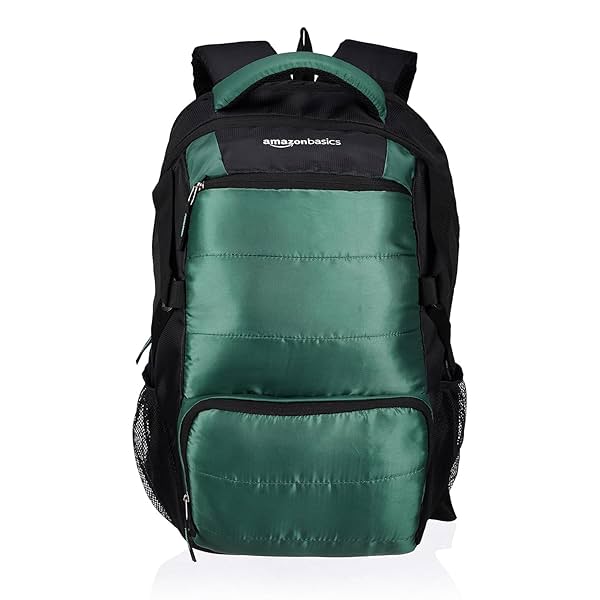 Image of Amazon Basics 29 L Laptop Backpack