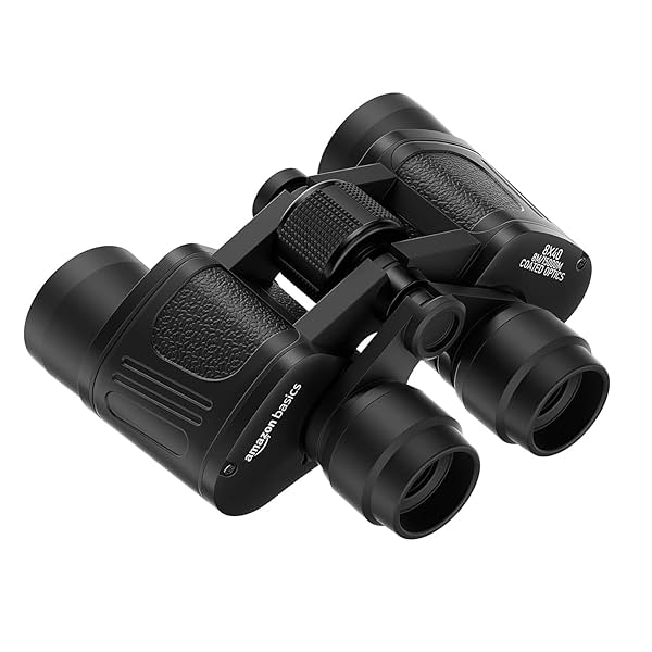 Image of Amazon Basics 8x40 Binoculars