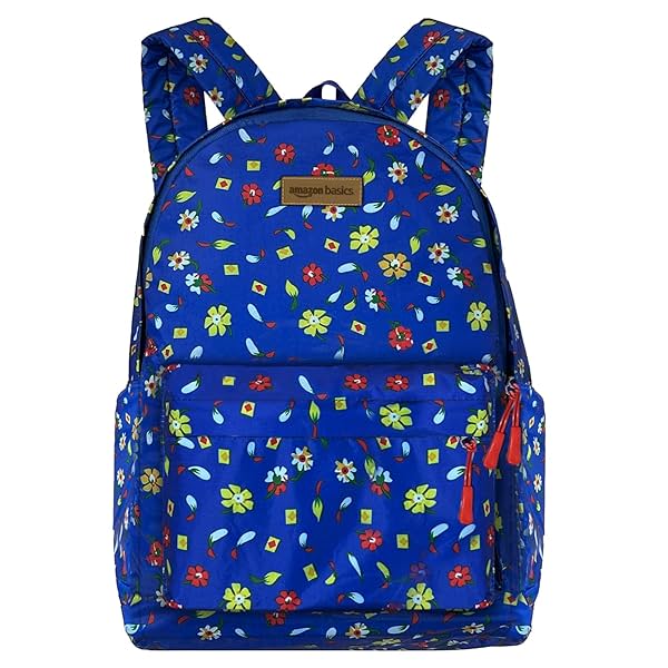 Image of Amazon Basics Casual Backpack for School & College