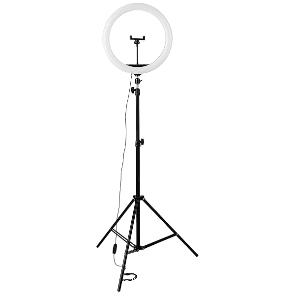 Image of Amazon Basics LED Ring Light (12-inch) with Tripod Stand, Hot Shoe Adapter and 3 Temperature Modes for YouTube