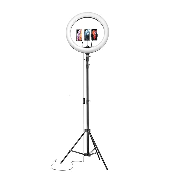 Image of Amazon Basics LED Ring Light (14-inch) with Tripod Stand 