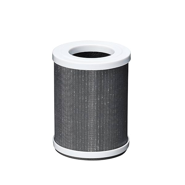 Image of Amazon Basics Replacement Car Filter