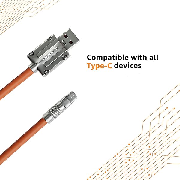 Image of Amazon Basics Type A to Type C Cable with Metal Connectors