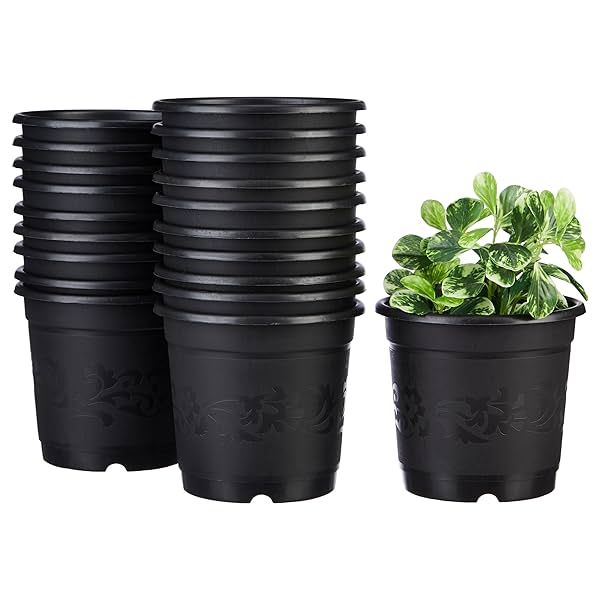 Image of Amazon Brand - Solimo 100% Virgin Plastic Round Nursery Planter Pot 