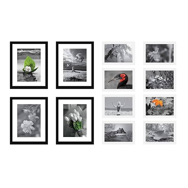 Image of Amazon Brand - Solimo Collage Set of 12 Photo Frames