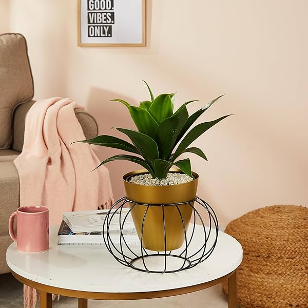 Image of Amazon Brand - Solimo Metal Planter