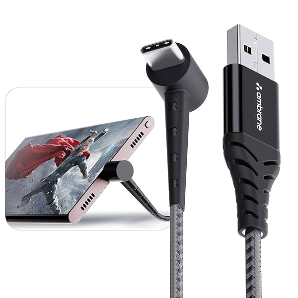 Image of Ambrane Type C Standing Cable