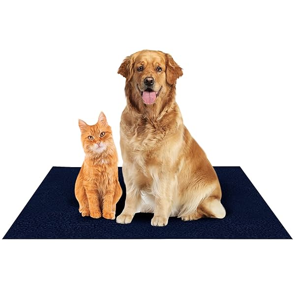 Image of Amorite Washable Pee Pads for Dogs (Medium)