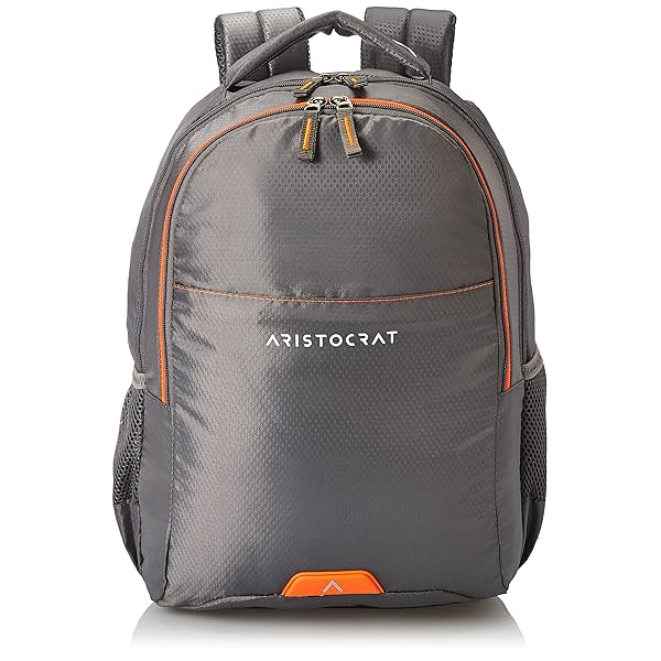 Image of Aristocrat Coral Lp Bp (E) Grey 26 L Backpack