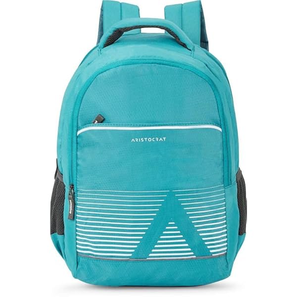 Image of Aristocrat Solid Pattern Kane Backpack (H) Light Blue ,27 L