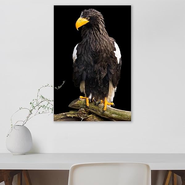 Image of ArtzFolio Steller Sea Eagle Haliaeetus Pelagicus