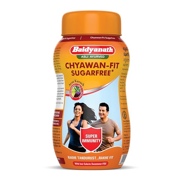 Image of Baidyanath Chyawan-Fit Sugarfree Chyawanparsh Powder|Immunity Booster - 500 Gm