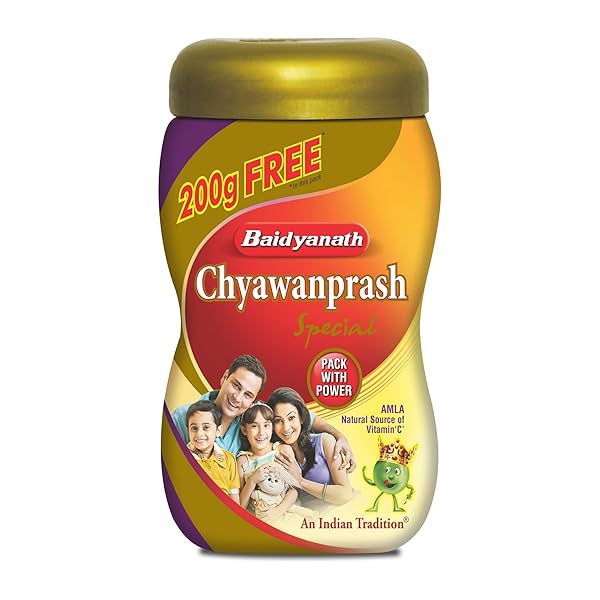 Image of Baidyanath Chyawanprash Special-1.2 Kg