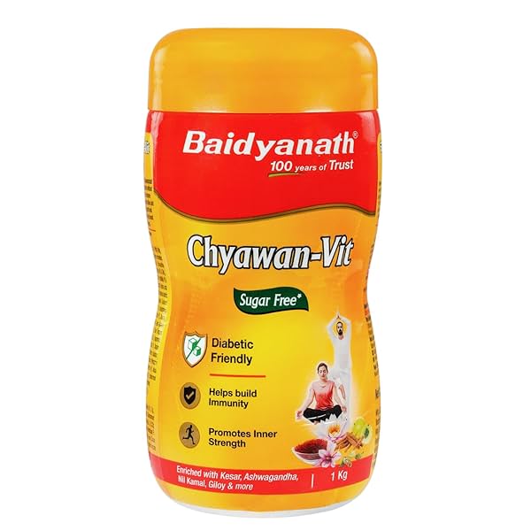 Image of Baidyanath Sugarfree Chyawan-Vit 1Kg- Specially Formulated Chyawanprash With No Added Sugar