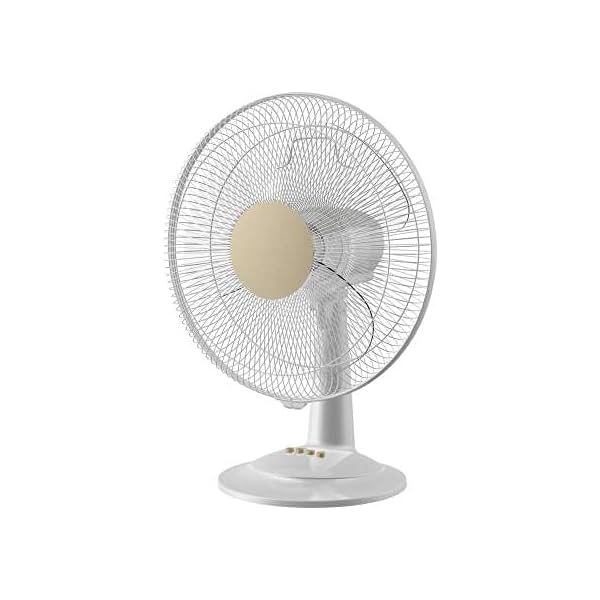 Image of Bajaj Rapido 400 mm Table Fan, Wine Red, With Full Copper Motor and High Speed Operation, Regular