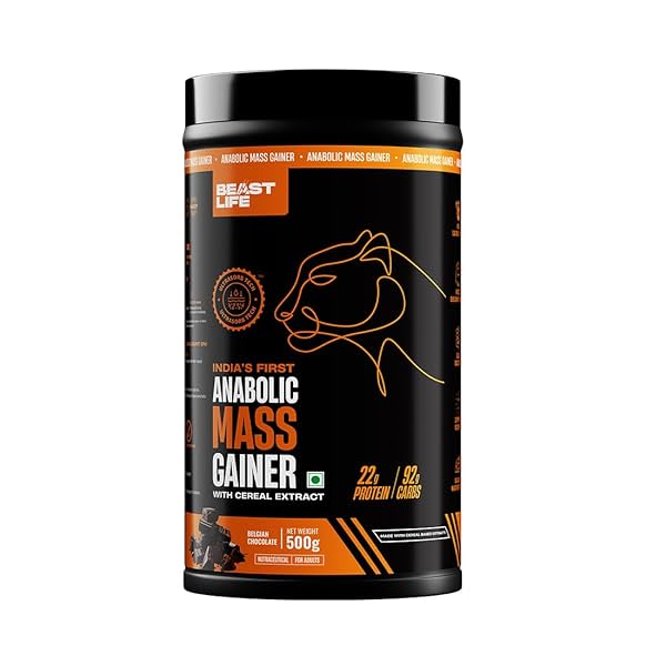 Image of BeastLife Mass Gainer 500g