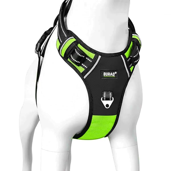 Image of Buraq Dog Harness