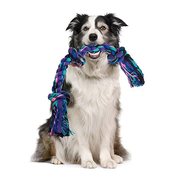 Image of DOGGIE DOG Dog Toys Rope Combo (3 Rope)